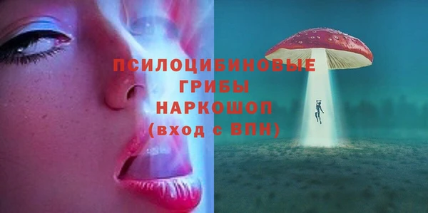прущая мука Вязники