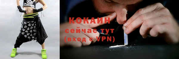 соль ск Вязьма