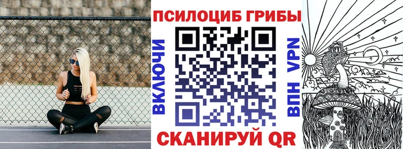 Купить  Плавск  Галлюциногенные грибы GOLDEN TEACHER 